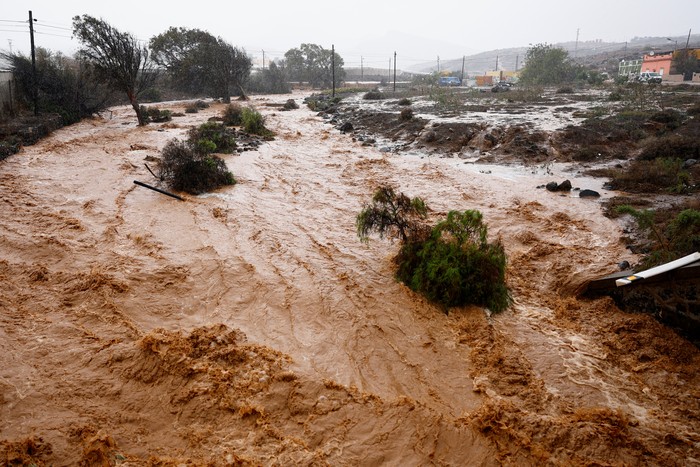 Rainwater runs down the Ojos De Garza ravine in Telde, on the island of Gran Canaria, Spain, March 4, 2025. REUTERS/Borja Suarez