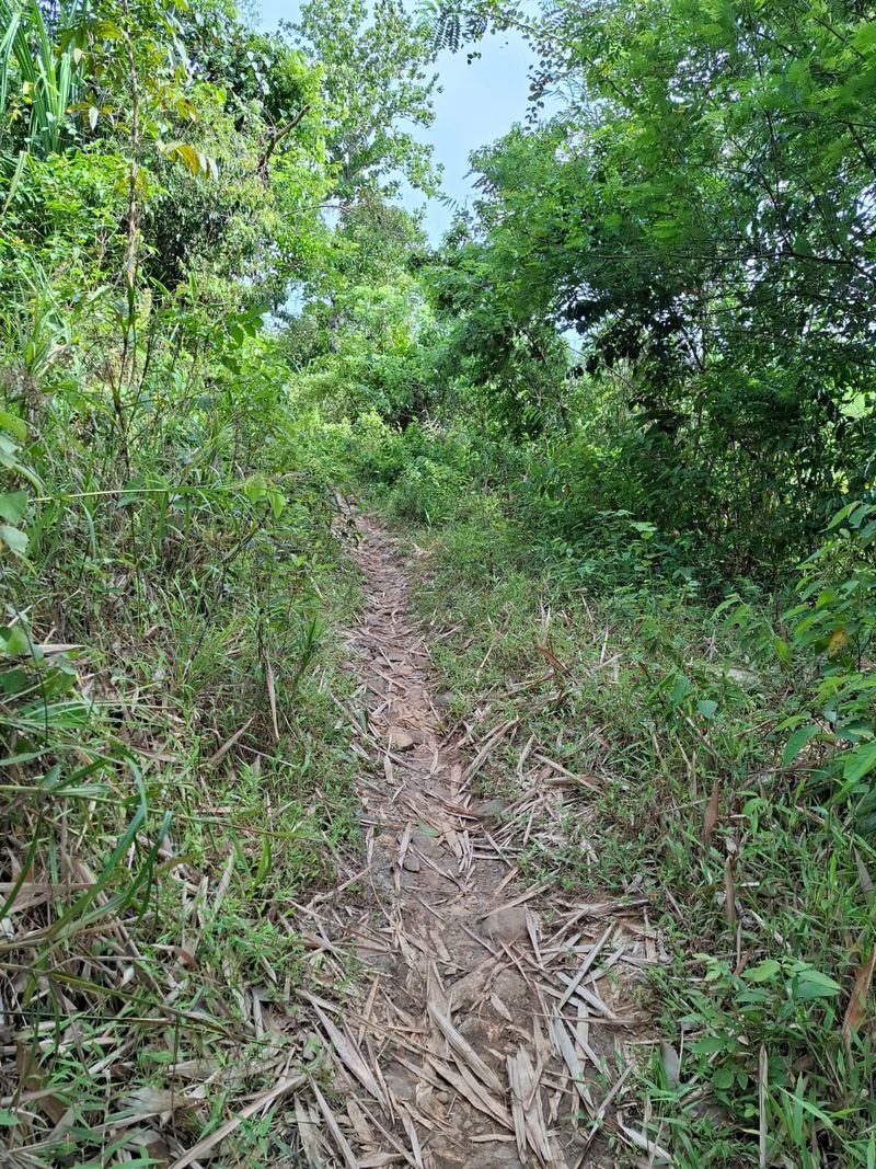 Jalan poros desa di Kecamatan Cimarga, Lebak, Banten. (Dok Istimewa)