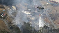 Kebakaran hutan terjadi setelah Jepang dilanda musim panas dengan rekor terpanas tahun lalu. Perubahan iklim menyebabkan kenaikan suhu di seluruh dunia.  