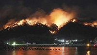 Kebakaran hutan kali ini diperkirakan merusak sedikitnya 80 bangunan hingga Minggu, namun angkanya masih akan dirinci lagi.  