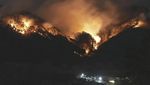 Kebakaran Hutan Terparah di Jepang Terus Meluas