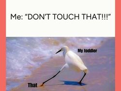 Meme yang Relate Banget buat Para Bunda, Semangat Moms!