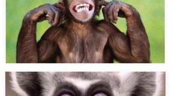 Kalau lagi ngomongin sesuatu sama orang lain, jiwa kepo bocil baru muncul. Foto: Loving Mommyhood via Bored Panda