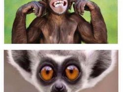 Meme yang Relate Banget buat Para Bunda, Semangat Moms!