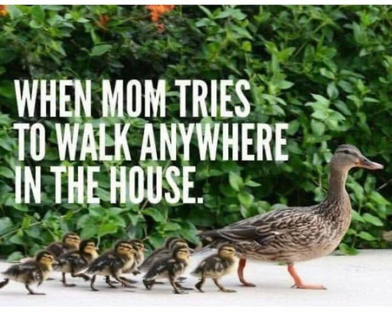 Menjadi orang tua tidak lah mudah. Tetap semangat buat para ibu dan ayah yang sudah menjaga anak kalian -- apalagi sambil puasa. Kudu banyak-banyak sabar!