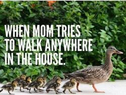 Meme yang Relate Banget buat Para Bunda, Semangat Moms!