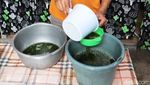 Penjual Cincau di Ponorogo Kebanjiran Pesanan saat Ramadan