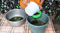 Cincau buatannya dikemas dalam thinwall berukuran 1,000 mililiter dan dijual seharga Rp 10 ribu per kotak.