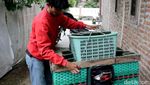 Penjual Cincau di Ponorogo Kebanjiran Pesanan saat Ramadan