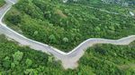 Potret Jalan Baru di Sigi yang Membelah Hutan Lindung