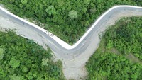Jalan yang menghabiskan anggaran sebesar Rp 63 miliar itu sebagiannya adalah hasil pembebasan kawasan hutan lindung yang dikelola Balai Taman Nasional Lore Lindu (BTNLL) sepanjang 4,6 kilometer. 