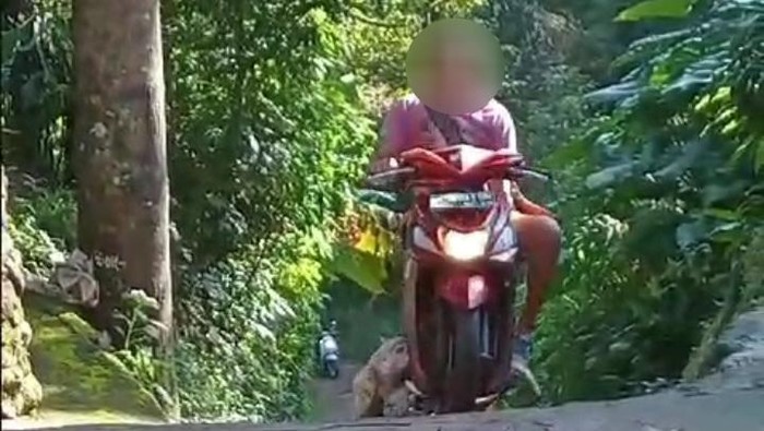 Seorang pria diduga menembak anjing di Desa Sidatapa, Buleleng, Bali. (Tangkapan layar)