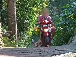Tembak dan Jagal Anjing, Pria Sidetapa Buleleng Dipolisikan