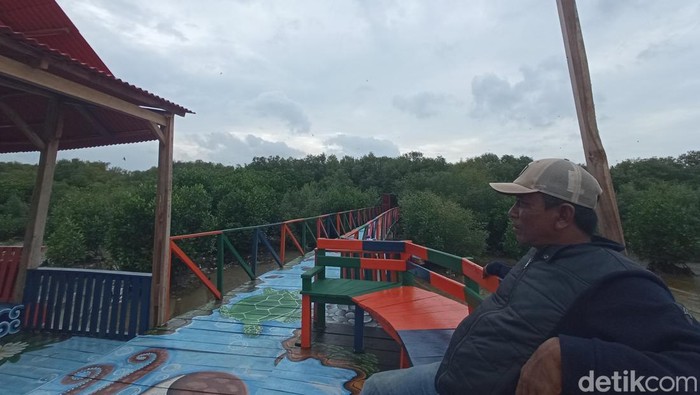 Wisata mangrove di Mundu, Cirebon