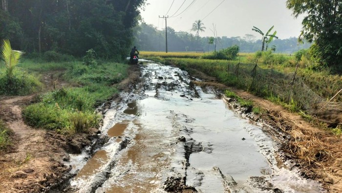 Andra Soni saat mengecek jalan rusak di Pandeglang (Aris/detikcom)