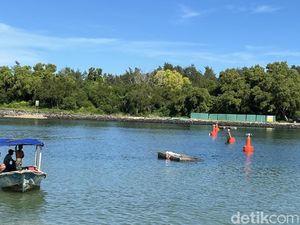 Pagar Laut di Serangan Kembali Dicopot, Kini Diganti Pelampung Navigasi