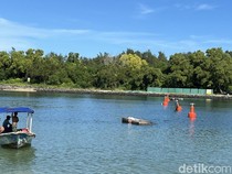 Bali Bakal Punya Pelabuhan Internasional Baru, Bisa Tampung 140 Yacht
