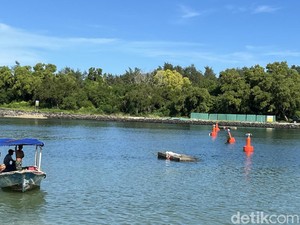 Bali Bakal Punya Pelabuhan Internasional Baru, Bisa Tampung 140 Yacht