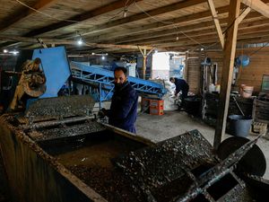 Bisnis Daur Ulang di Kosovo Terancam Imbas Pembekuan Dana USAID oleh Trump