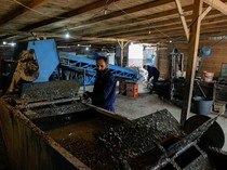 Bisnis Daur Ulang di Kosovo Terancam Imbas Pembekuan Dana USAID oleh Trump