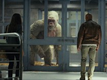 Sinopsis Film Rampage: Teror Monster Raksasa di Tengah Kota