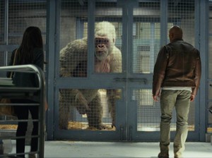 Sinopsis Film Rampage: Misi Menyelamatkan Kota dari Monster Buas