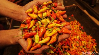 Harga Cabai Rawit Makin Pedas, Tembus Rp 75 Ribu/Kg