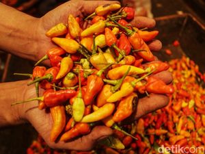 Harga Cabai Rawit Makin Pedas, Tembus Rp 75 Ribu/Kg