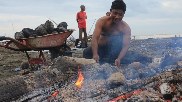 Pedagang musiman mengambil kelapa muda yang dibakar di kawasan pantai Desa Peunaga Rayeuk, Kecamatan Meureubo, Aceh Barat, Aceh, Kamis (6/3/2025). Permintaan kelapa muda bakar yang merupakan salah satu sajian khas Ramadhan tersebut meningkat dari 75 kelapa per hari menjadi 150-220 kelapa per hari karena selain menyegarkan, juga dipercaya dapat meningkatkan daya tahan tubuh, dijual Rp10.000 per kelapa. ANTARA FOTO/Syifa Yulinnas/Spt.