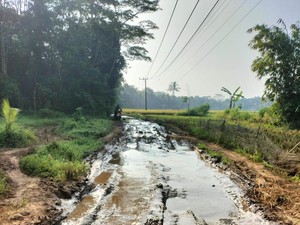 PUPR Banten Hitung Biaya Perbaikan Jalan Rusak yang Bikin Guru Jatuh