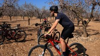 Pohon almond di Spanyol mulai berbunga pada akhir Januari, sekitar delapan belas hari atau hampir tiga minggu lebih awal dari yang biasanya diharapkan.  