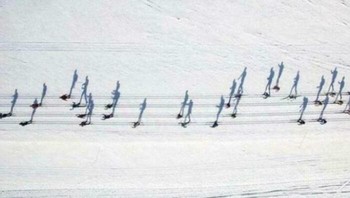 Ini bukan lembaran not musik lho, tapi bayangan pemain ski. Foto: Boredpanda