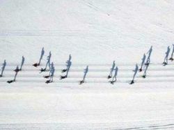 Kumpulan Foto yang Bikin Bingung Mata dan Pikiran