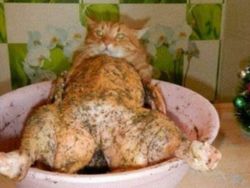 Kumpulan Foto yang Bikin Bingung Mata dan Pikiran