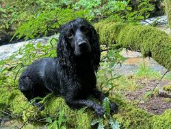 Kumpulan Foto yang Bikin Bingung Mata dan Pikiran