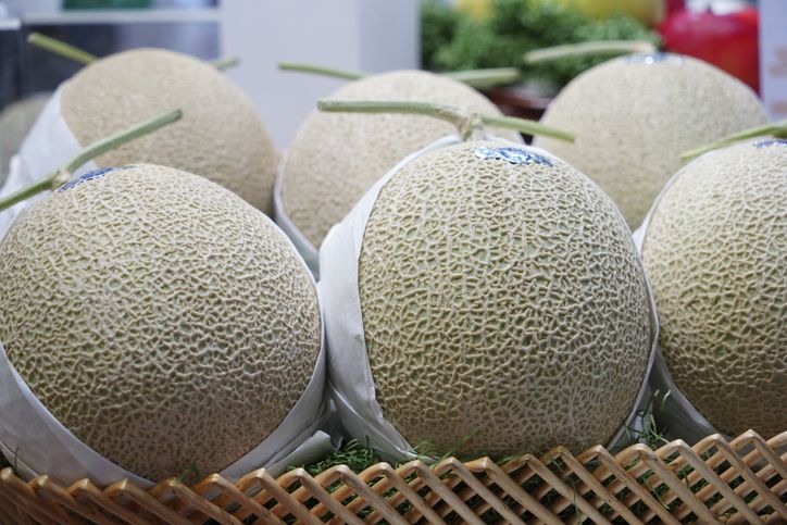 melon