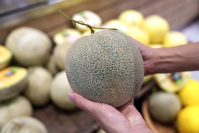 melon