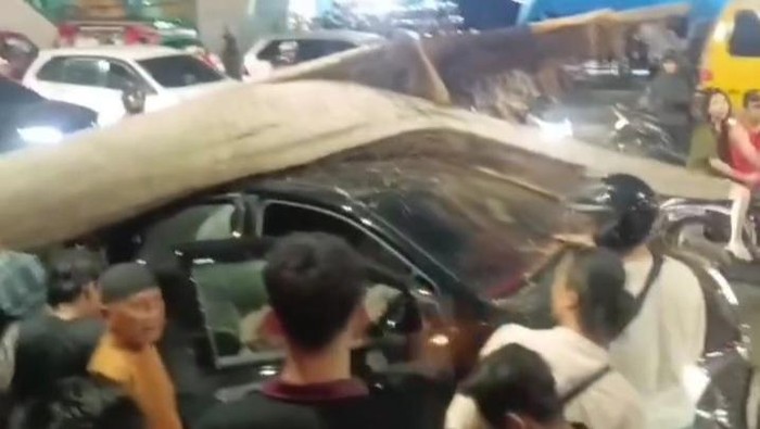 Pohon tumbang timpa mobil di Medan. (Istimewa)
