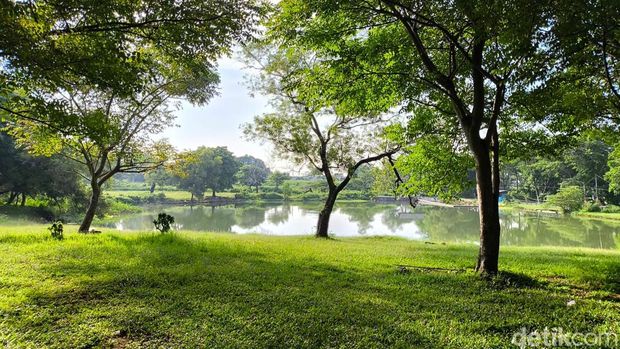 Suasana Danau Ciperna yang asri dan adem di Cirebon
