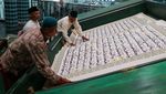 Tadarus Al-quran Raksasa di Banyuwangi