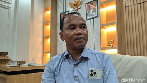 Wakil Ketua DPRD NTB Lalu Wirajaya. (Foto: Ahmad Viqi/detikBali)