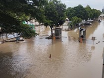 Video Pengamat soal Penyebab Banjir Jabodetabek: Alih Fungsi Lahan di Hulu-Hilir