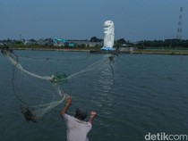 Berkunjung ke  Singapuranya  Cikarang