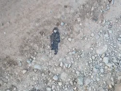 Bukan Editan, Potret Kebetulan dengan Timing yang Tepat