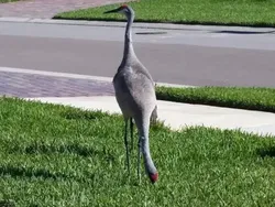 Bukan Editan, Potret Kebetulan dengan Timing yang Tepat