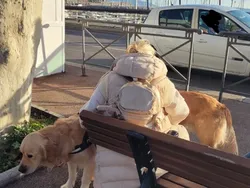 Bukan Editan, Potret Kebetulan dengan Timing yang Tepat