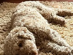 Bukan Editan, Potret Kebetulan dengan Timing yang Tepat