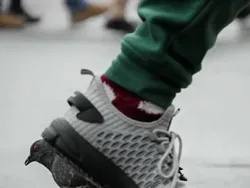 Bukan Editan, Potret Kebetulan dengan Timing yang Tepat