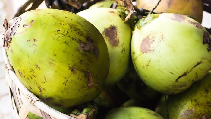 Cara memilih kelapa muda