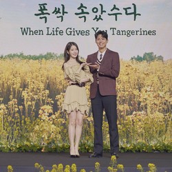 IU dan Park Bo Gum Kuasai Polling Korea Gallup 2025